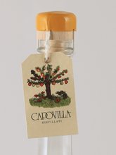 Load image into Gallery viewer, Capovilla Fruit Brandy Greengage 2015 - Bottle Of Japan