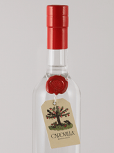 Load image into Gallery viewer, Capovilla Grappa Amarone 2012 - Bottle Of Japan