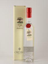 Load image into Gallery viewer, Capovilla Grappa Amarone 2012 - Bottle Of Japan