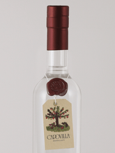 Load image into Gallery viewer, Capovilla Grappa Brunello 2016 - Bottle Of Japan