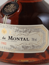 Load image into Gallery viewer, De Montal 1981/2024 700ml - Bottle Of Japan