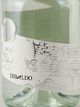 Load image into Gallery viewer, Divaldo AG 107.86 Dry Gin - Bottle Of Japan