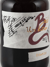 Load image into Gallery viewer, Divaldo Un Bitter - Bottle Of Japan