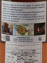 Load image into Gallery viewer, Francois Peyrot Pinot de Charentais Blanc 12 Year Old - Bottle Of Japan