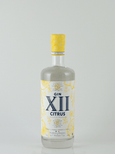 Load image into Gallery viewer, Gin Twelve Citrus - Bottle Of Japan