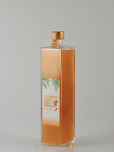Load image into Gallery viewer, GoldenBerry Liqueur Aurea Tropica 720ml - Bottle Of Japan