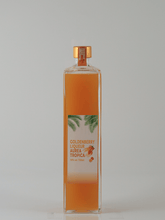 Load image into Gallery viewer, GoldenBerry Liqueur Aurea Tropica 720ml - Bottle Of Japan