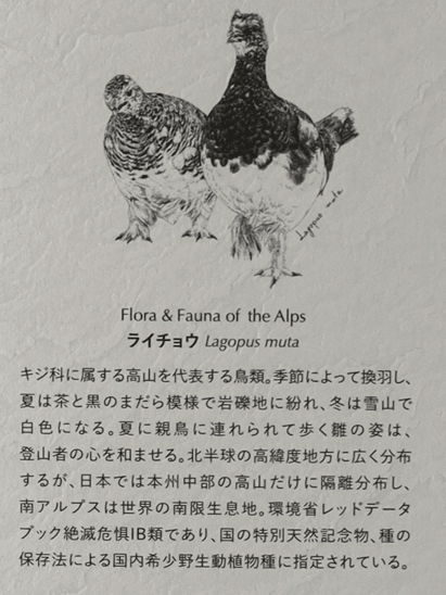 Ikawa Distillery Single Malt Dessin Series Fauna 2025 - Bottle Of Japan
