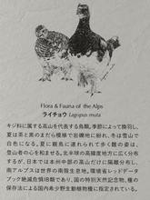 Load image into Gallery viewer, Ikawa Distillery Single Malt Dessin Series Fauna 2025 - Bottle Of Japan