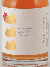 Load image into Gallery viewer, Kobe Distillery KOBE GIN UMESHU YAMA - Bottle Of Japan