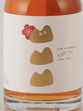 Load image into Gallery viewer, Kobe Distillery KOBE GIN UMESHU YAMA - Bottle Of Japan