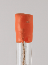 Load image into Gallery viewer, L'Encantada Domaine del Cassou 1987 - Bottle Of Japan