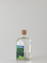 Load image into Gallery viewer, mitosaya No.153 Tiny Kiwi - Bottle Of Japan