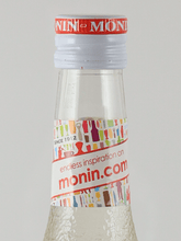 Load image into Gallery viewer, Monin Sugar Syrup - Bottle Of Japan