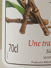 Load image into Gallery viewer, Monin Sugar Syrup - Bottle Of Japan