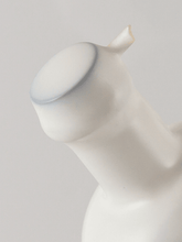 Load image into Gallery viewer, Old Man Winter - Bottle Of Japan