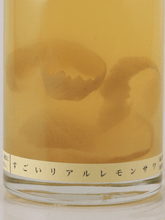 Load image into Gallery viewer, OPEN BOOK Amazing Lemon Sour 2024 - Bottle Of Japan