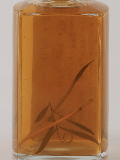 OPEN BOOK Grass & Wood Lemon Sour 2023 Autumn - Bottle Of Japan