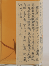 Load image into Gallery viewer, OPEN BOOK Grass &amp; Wood Lemon Sour 2023 Autumn - Bottle Of Japan