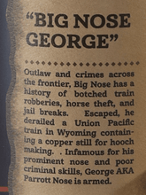 Load image into Gallery viewer, Outlaw Big Nose George - Bottle Of Japan