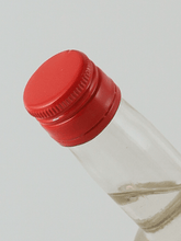 Load image into Gallery viewer, Pallini Maraschino 500ml - Bottle Of Japan