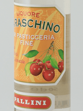 Load image into Gallery viewer, Pallini Maraschino 500ml - Bottle Of Japan