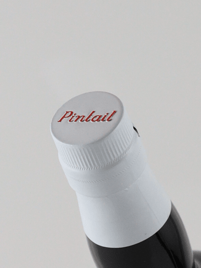 Pinaq Garvagh 17 Year Old 2006 - Bottle Of Japan