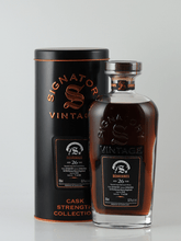 Load image into Gallery viewer, Signatory Benrinnes 26 Year Old 1997 - Bottle Of Japan