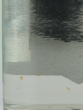 Load image into Gallery viewer, Tomii Distillery Crazy Potion Absinthe 720ml - Bottle Of Japan