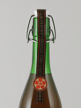 Load image into Gallery viewer, Ume Liqueur Hoshiko 2025 Nouveau - Bottle Of Japan