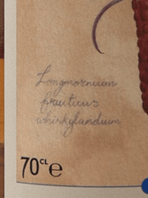 Load image into Gallery viewer, Whisky Land Longmorn 28 Year Old 1996 - Bottle Of Japan