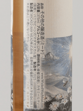Load image into Gallery viewer, Wicked Way Mead Dream - Bottle Of Japan